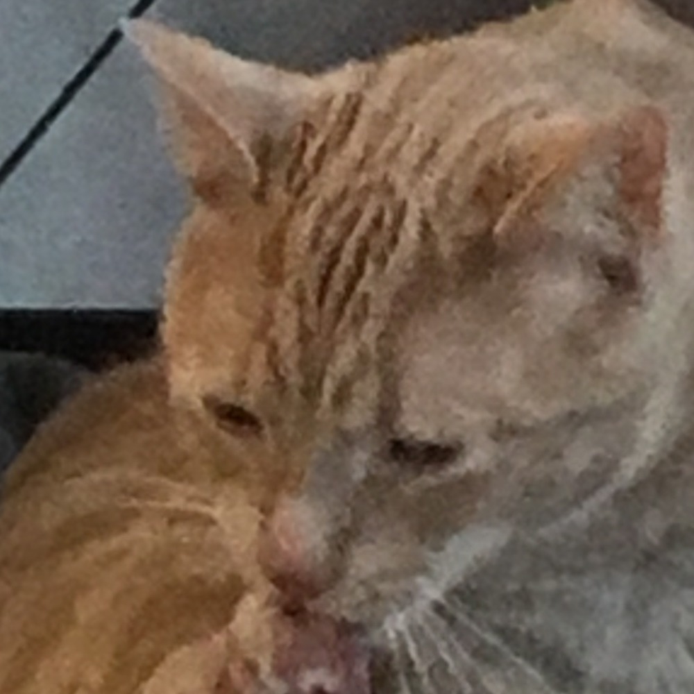 Meet your Posher, Blonde